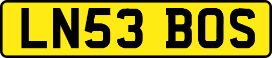 LN53BOS