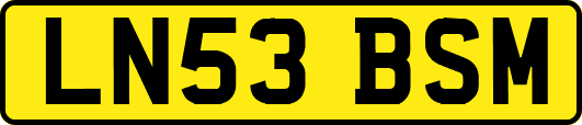 LN53BSM