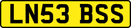 LN53BSS