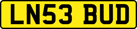 LN53BUD