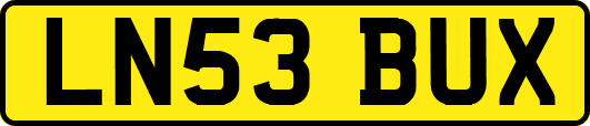 LN53BUX