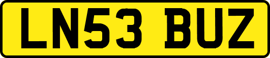 LN53BUZ