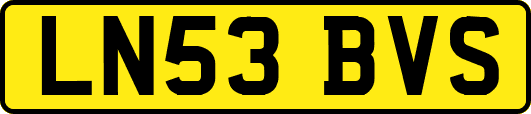 LN53BVS