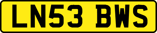 LN53BWS