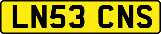 LN53CNS