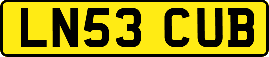 LN53CUB