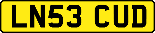 LN53CUD