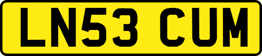 LN53CUM