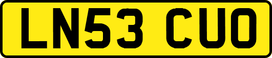 LN53CUO