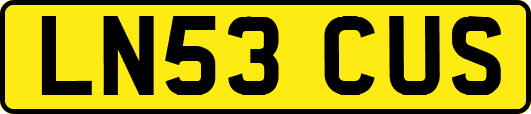 LN53CUS