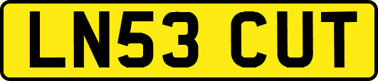 LN53CUT