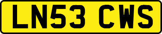 LN53CWS
