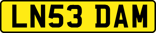 LN53DAM