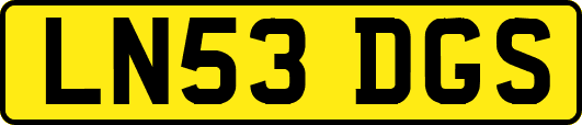 LN53DGS