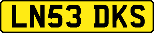 LN53DKS