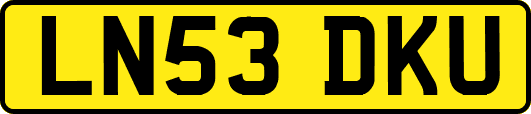 LN53DKU