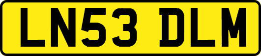 LN53DLM