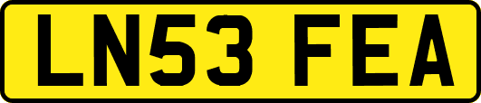 LN53FEA