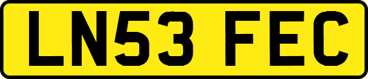 LN53FEC