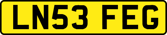 LN53FEG