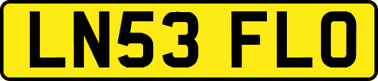 LN53FLO