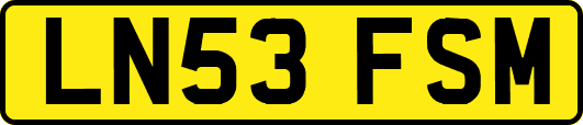LN53FSM