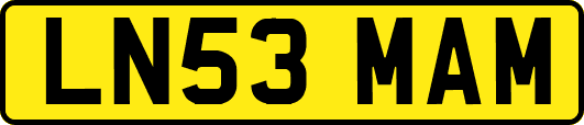 LN53MAM