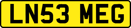 LN53MEG