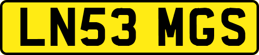 LN53MGS