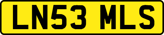 LN53MLS