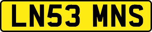LN53MNS