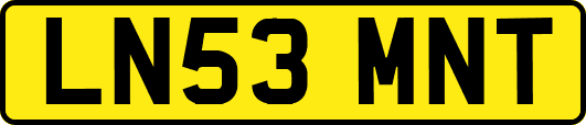 LN53MNT