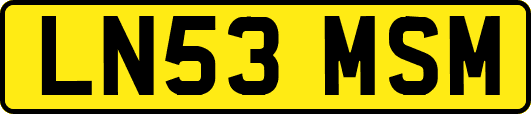 LN53MSM