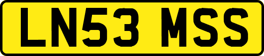 LN53MSS