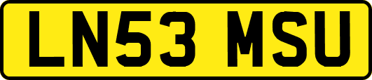 LN53MSU