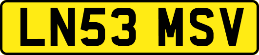 LN53MSV