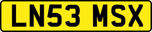 LN53MSX
