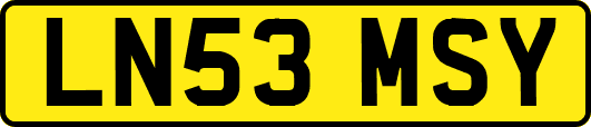 LN53MSY