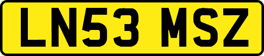 LN53MSZ