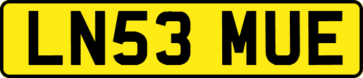 LN53MUE