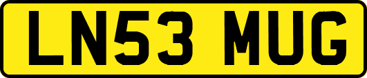 LN53MUG