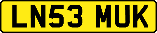 LN53MUK