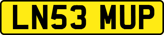 LN53MUP