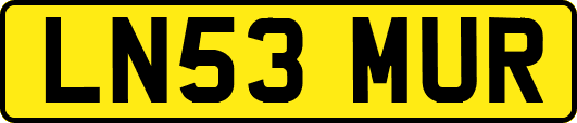 LN53MUR