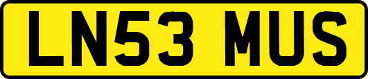 LN53MUS