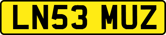 LN53MUZ