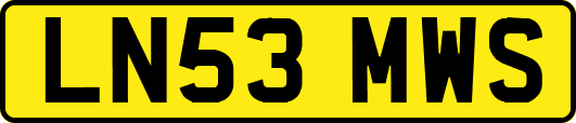 LN53MWS