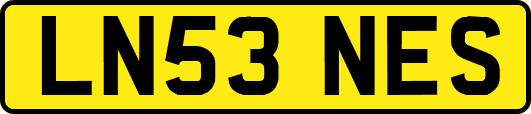 LN53NES