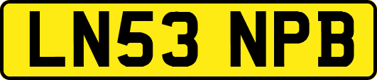 LN53NPB