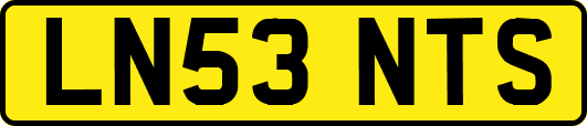 LN53NTS